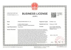 Business License